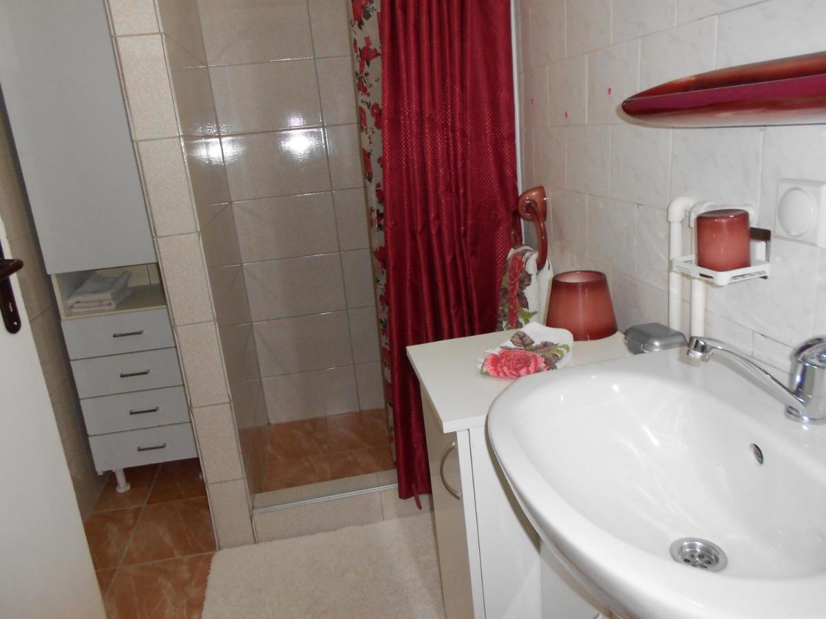 Apartman "Dom Stankovica" Pirot Exterior foto