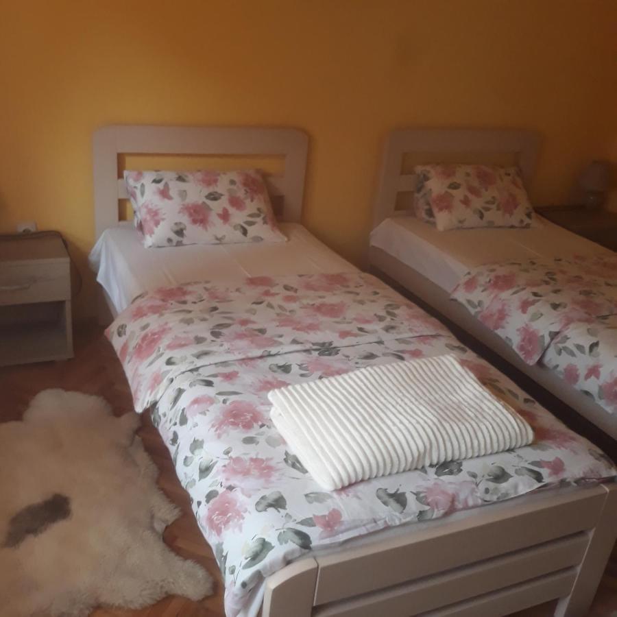 Apartman "Dom Stankovica" Pirot Exterior foto