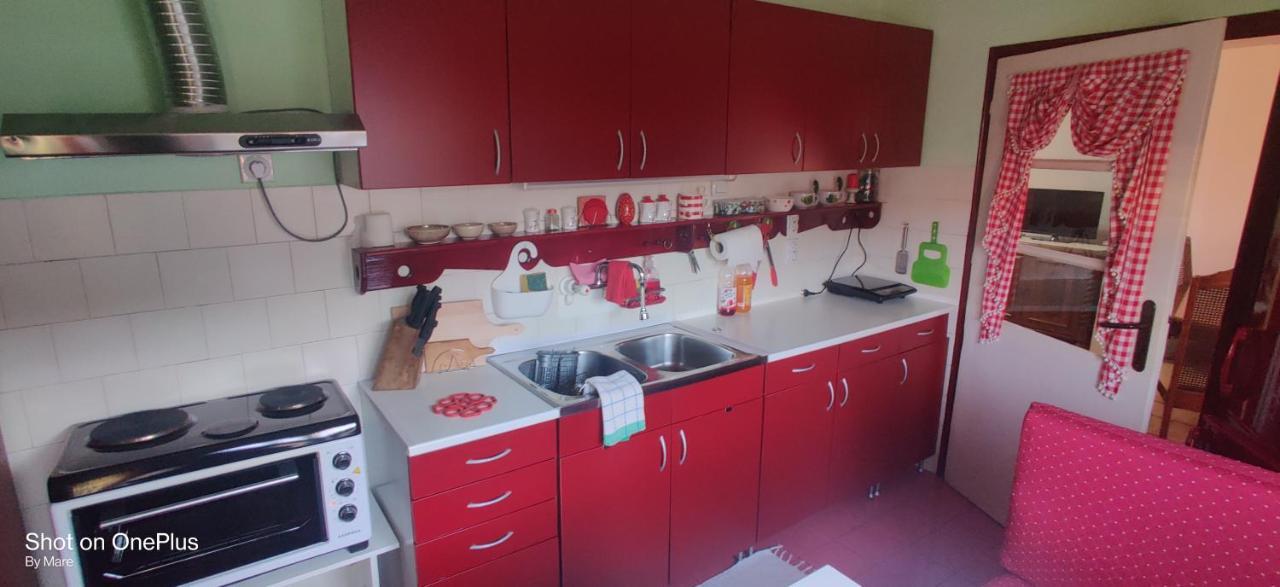 Apartman "Dom Stankovica" Pirot Exterior foto