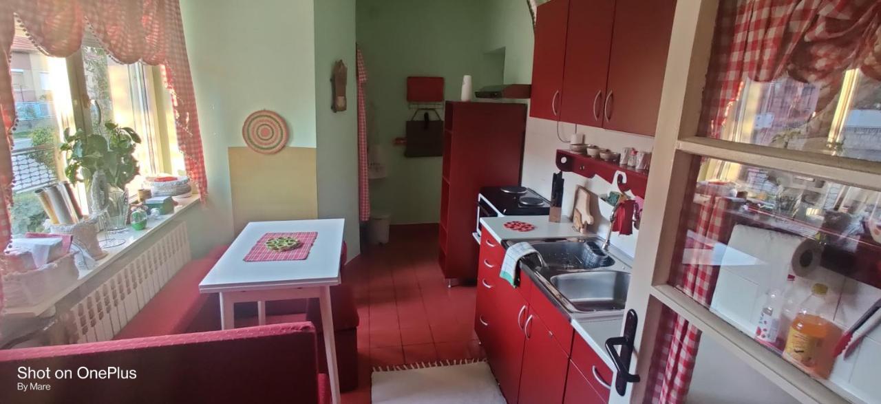 Apartman "Dom Stankovica" Pirot Exterior foto