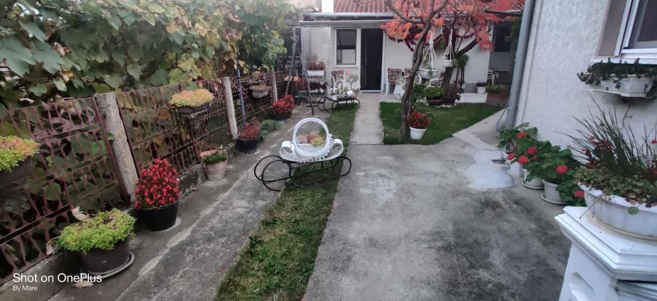 Apartman "Dom Stankovica" Pirot Exterior foto