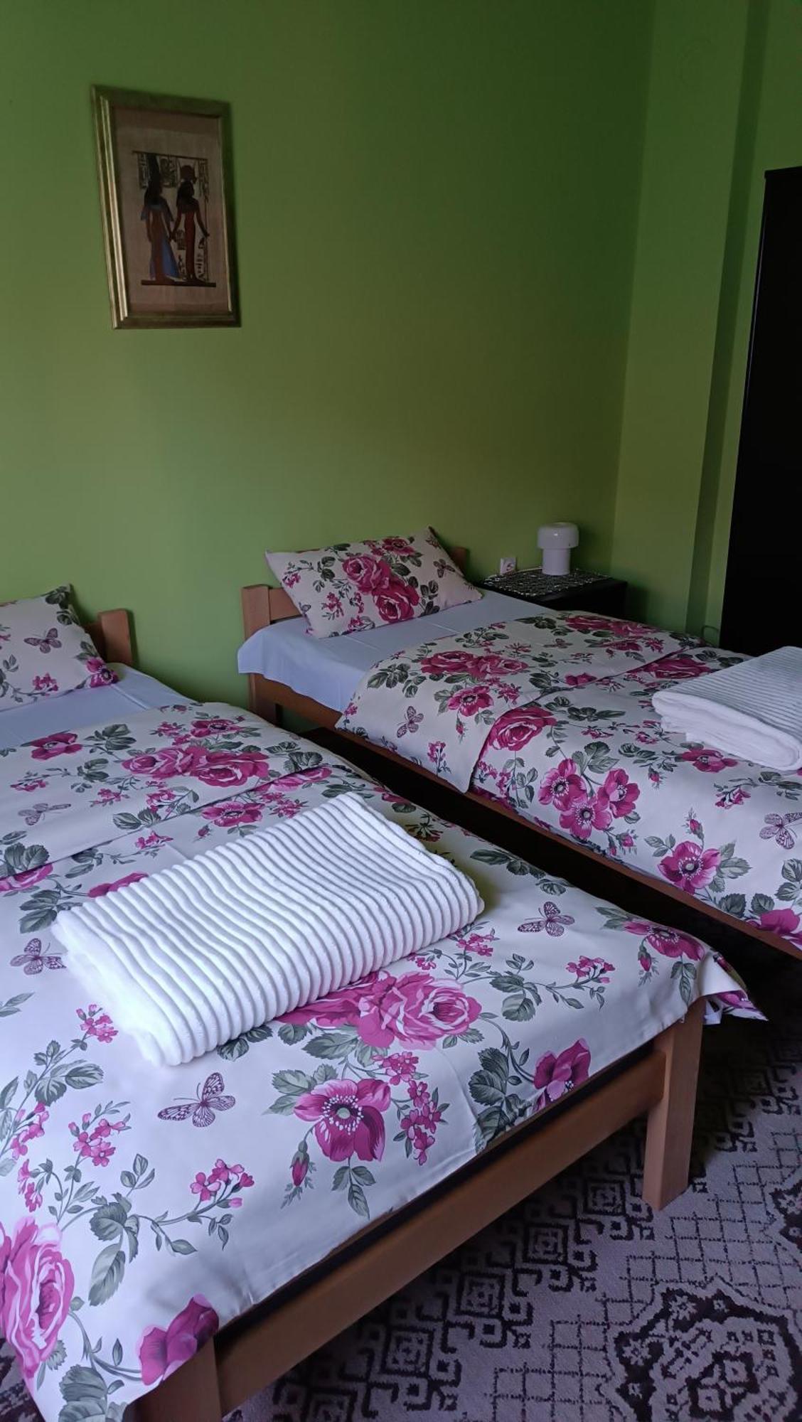 Apartman "Dom Stankovica" Pirot Exterior foto